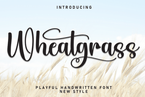 Wheatgrass Font: A Designer’s Favorite for Elegant Web Typography